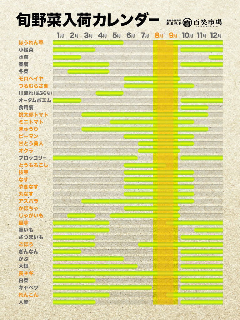 百笑旬野菜5〜8点セット